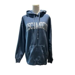 Comfort Colors Blue Hoodie